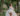 Bride walking in villa cipressi botanical garden